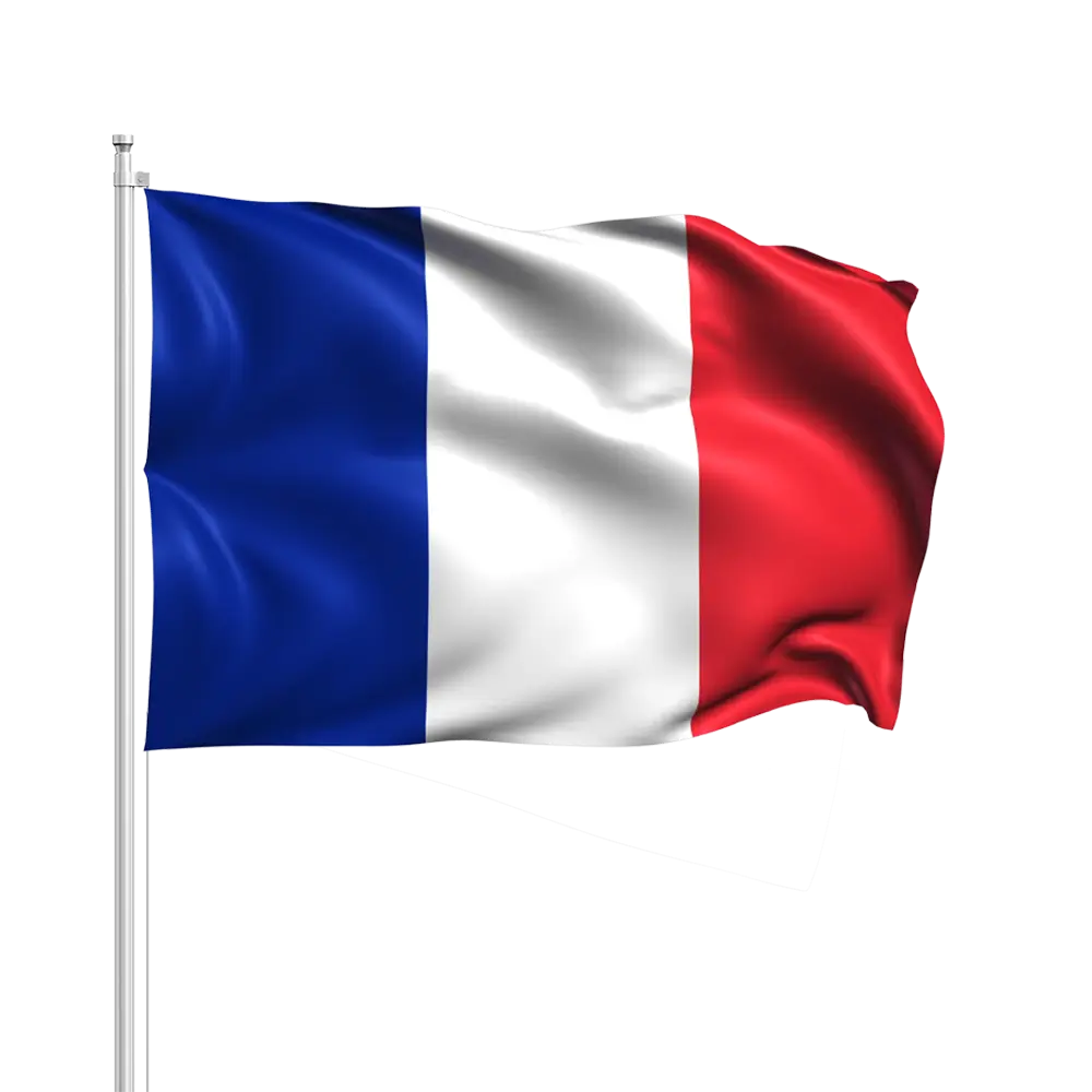 Frankreich Flagge mit Stab 30x45cm