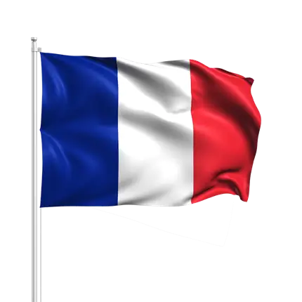 Frankreich Flagge mit Stab 30x45cm