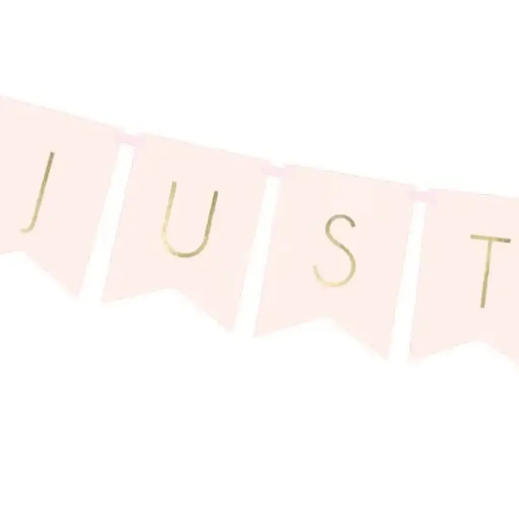 Just Married Rosa Hochzeitswandbanner