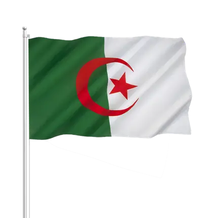 Algerien Flagge 30x45cm mit Stock