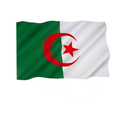 Algerien Flagge 60x90cm