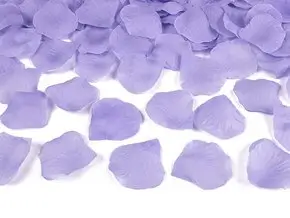 100 violette Rosenblütenblätter