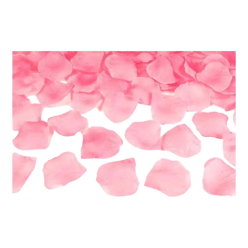 100 hellrosa Rosenblütenblätter