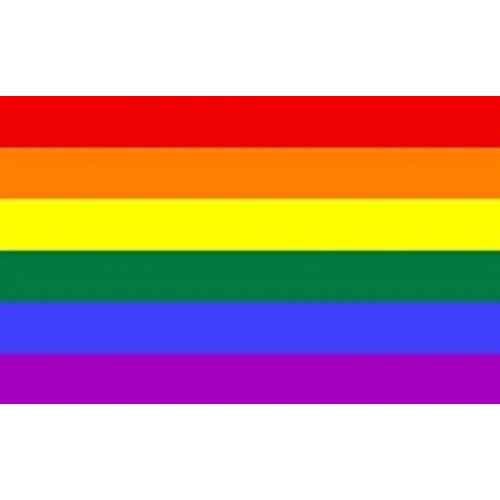 Regenbogen-Fahne LGBT 90x150cm