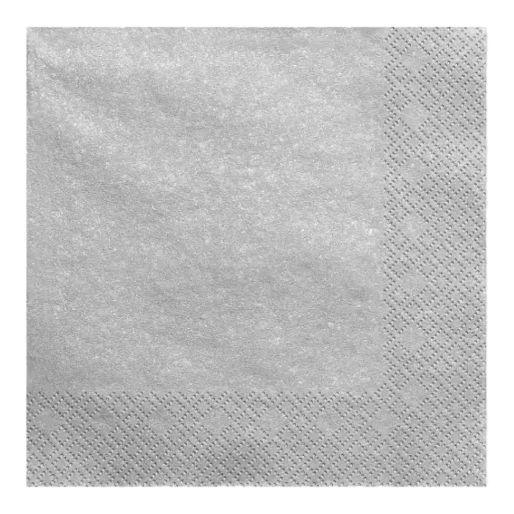 Silber/silbernes Papierhandtuch (20er-Set)