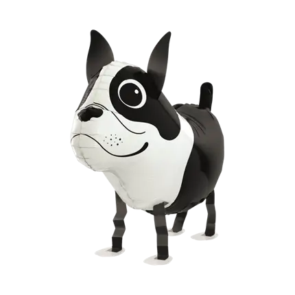 Boston-Terrier-Hundeball 48cm
