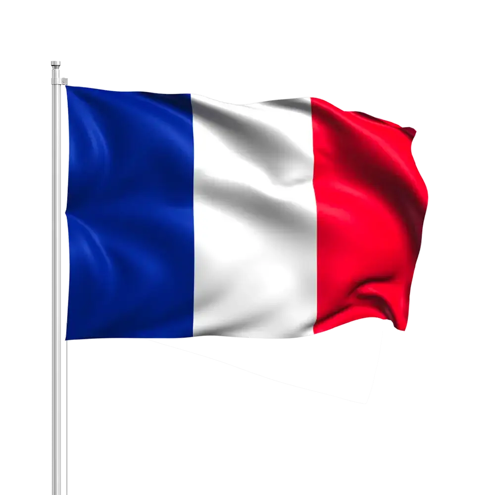 Frankreich Flagge mit Baguette 14x21cm