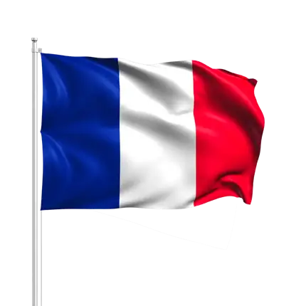 Frankreich Flagge mit Baguette 14x21cm
