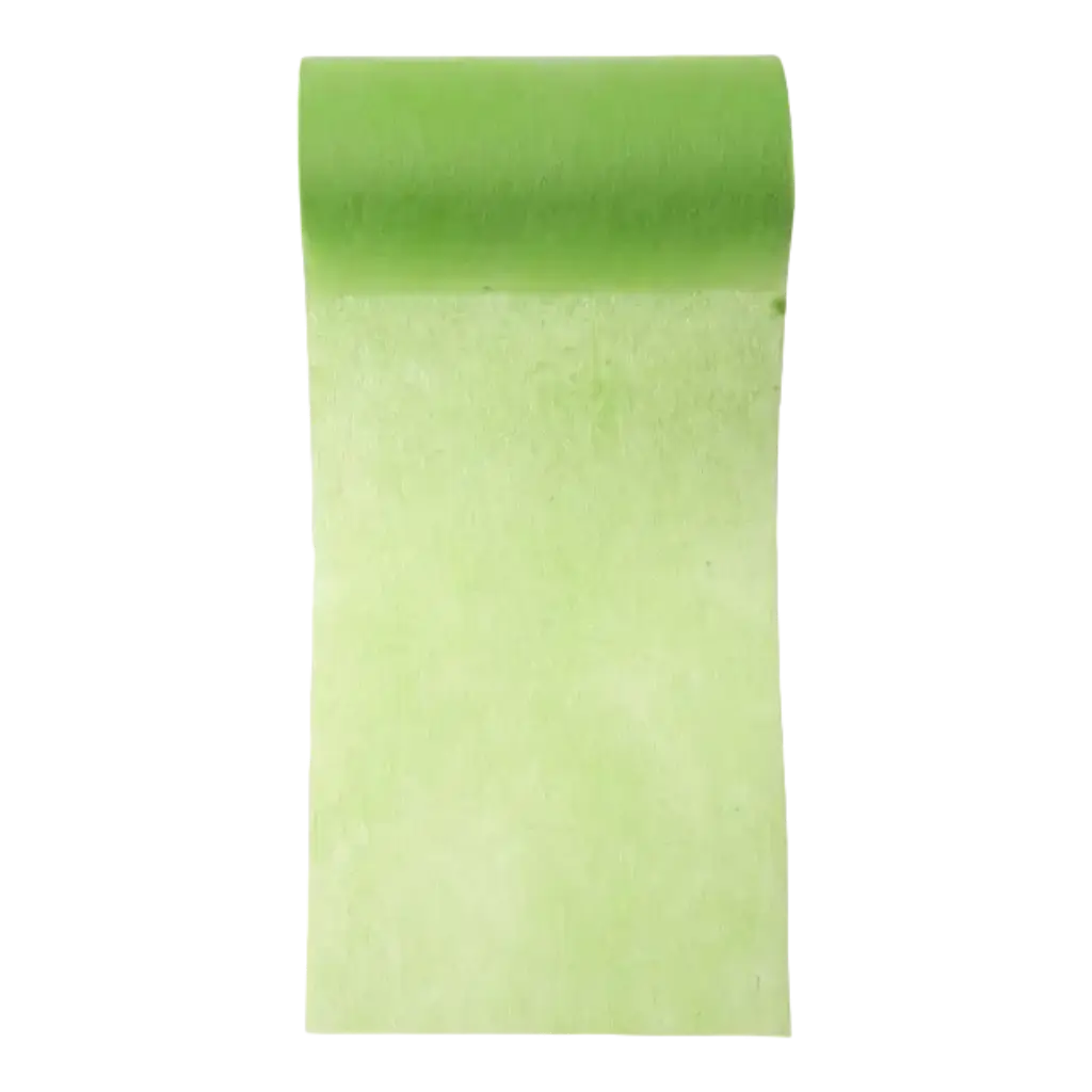 Einfaches grünes Vliesband - 10m*10cm