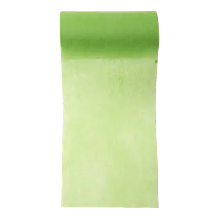 Einfaches grünes Vliesband - 10m*10cm