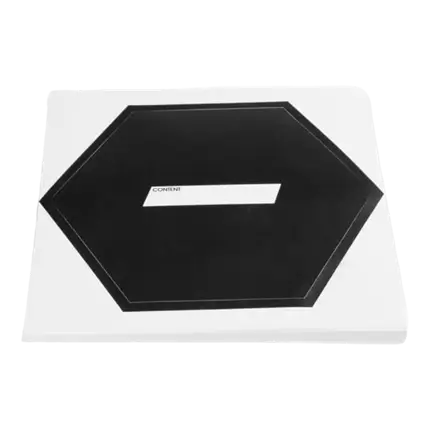 AUFKLEBER FÜR MAGIC FX CO2Launcher - 25er PACK