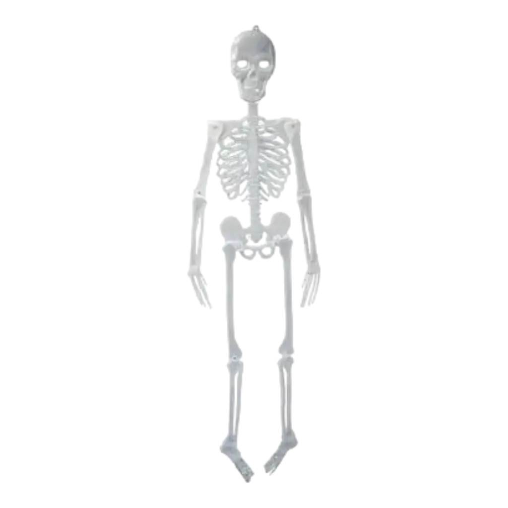 Riesiges phosphoreszierendes Skelett - 150cm