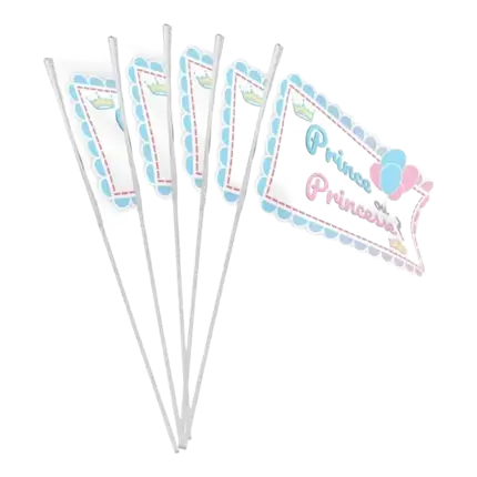 10 FLAGGEN MIT STAB - PRINZ ODER PRINZESSIN - 9,2x16cm