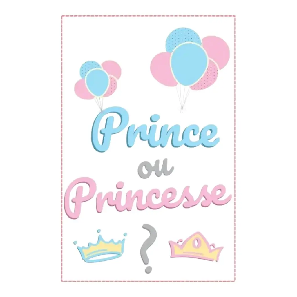 Papierfahnengirlande "Prinz oder Prinzessin?" - 5m