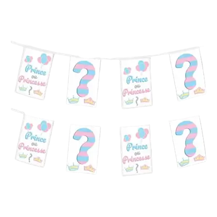 Papierfahnengirlande Prinz oder Prinzessin? - 5m