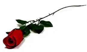 Künstliche Blumenart Rose mit Stiel