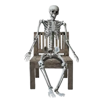 RIESENSKELETT - MENSCHLICHE GRÖSSE - 160CM