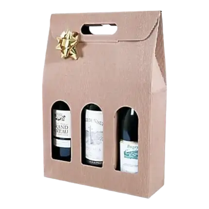 Box 3 Flaschen mit Griff Farbe Naturbeige