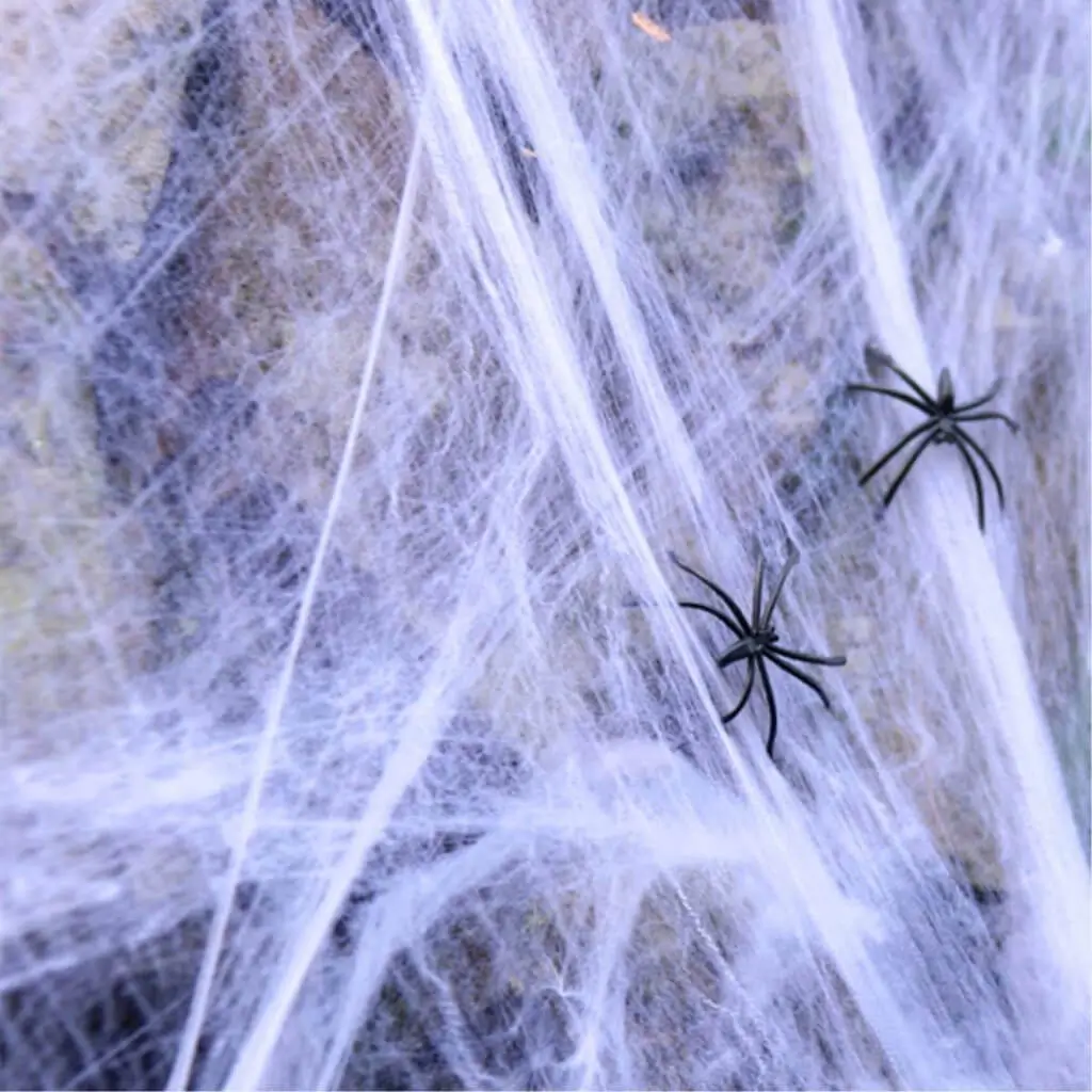 Spinnennetz 300g und 4 Spinnen