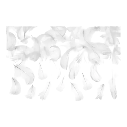 Zierfeder - Weiß - 3g