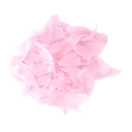 Zierfeder - Hellrosa - 3g