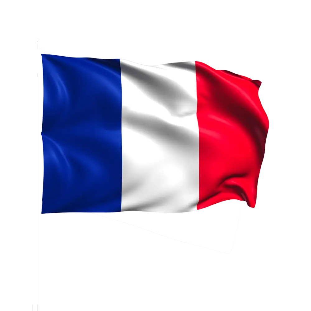 Frankreich-Flagge Tricolore 60x90cm mit Hülle