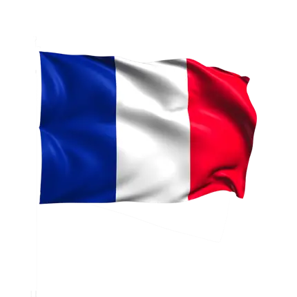 Frankreich-Flagge Tricolore 60x90cm mit Hülle