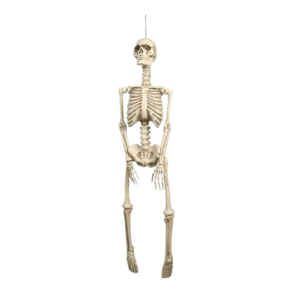 Hängendes Skelett 92cm für Halloween Dekoration