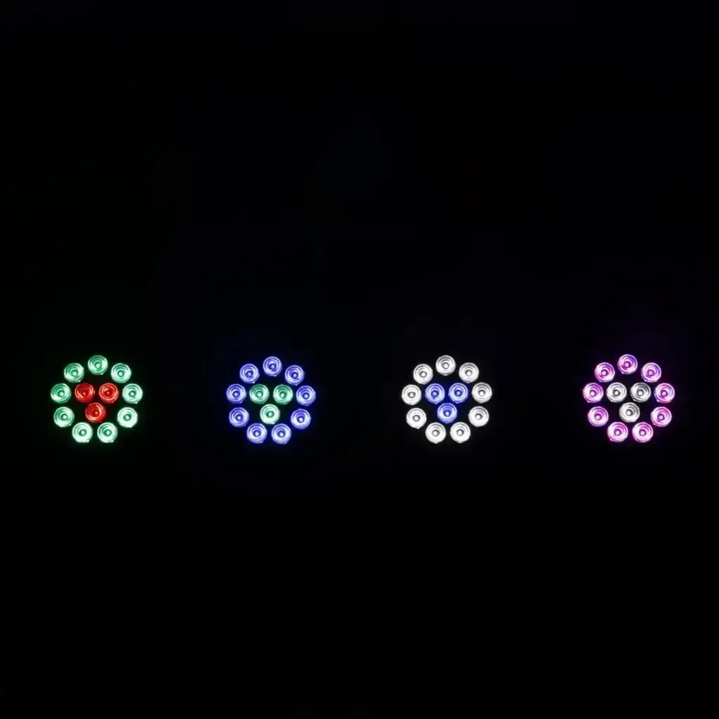 RGBW-LED-PAR-Scheinwerfer mit zweifacher Steuerung - CLUB-MIX2-IP