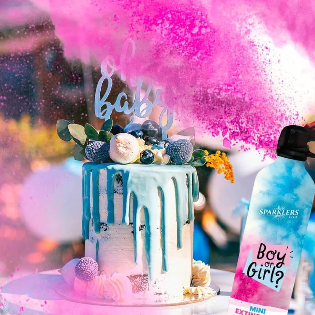 Mini Gender Reveal Feuerlöscher - Rosa