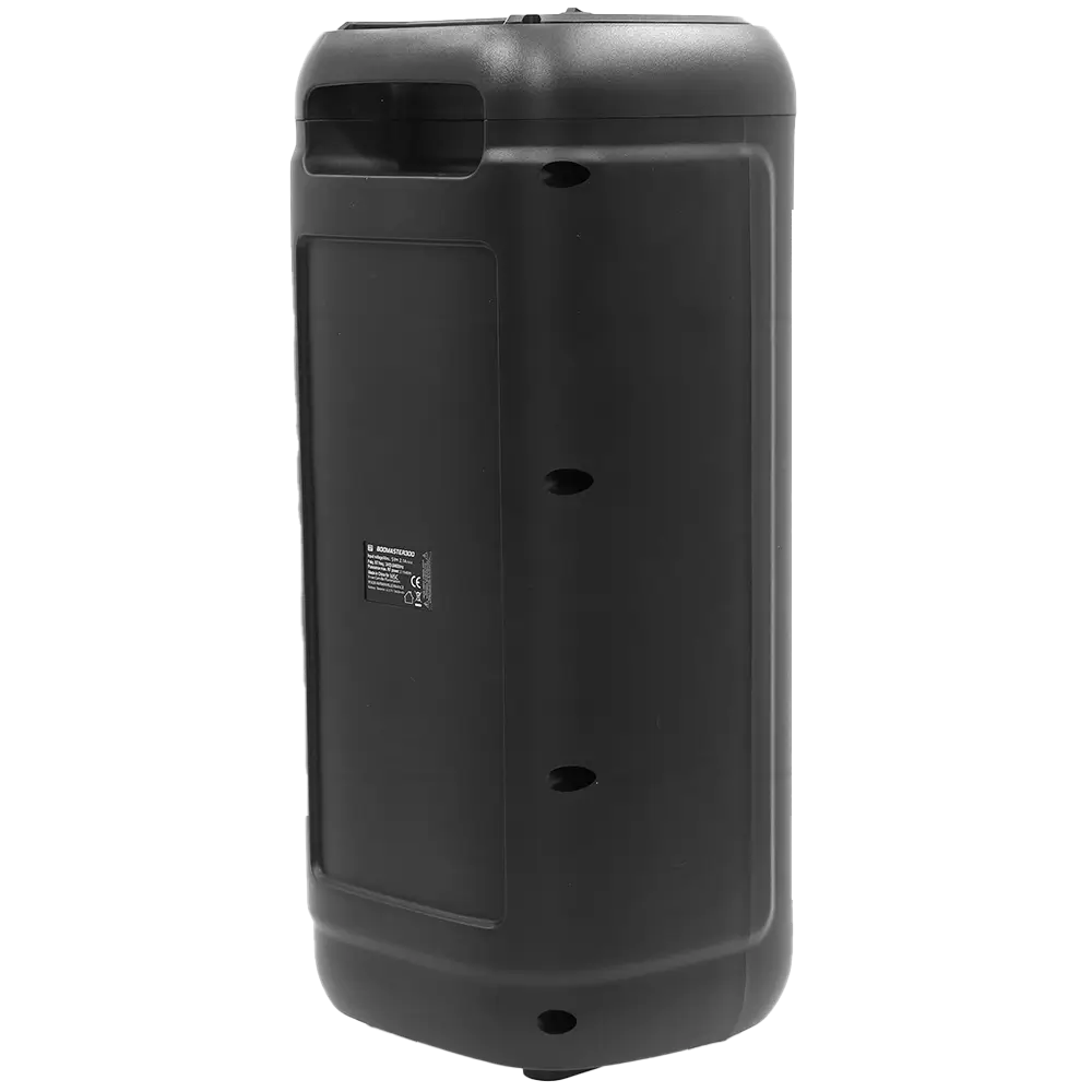 Tragbarer batteriebetriebener Lautsprecher 'BOOMaster 300' - 250W mit Bluetooth, LED