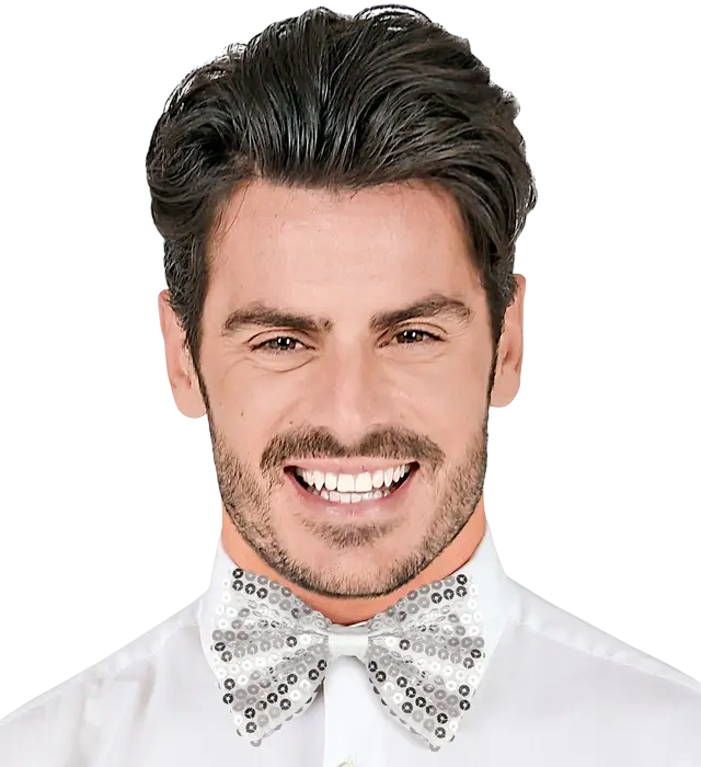 "SCHMETTERLINGSKNOTEN SILBERNE PAILLETTEN