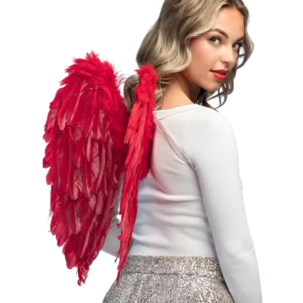 Flügel Engel Divine rot 50x50cm