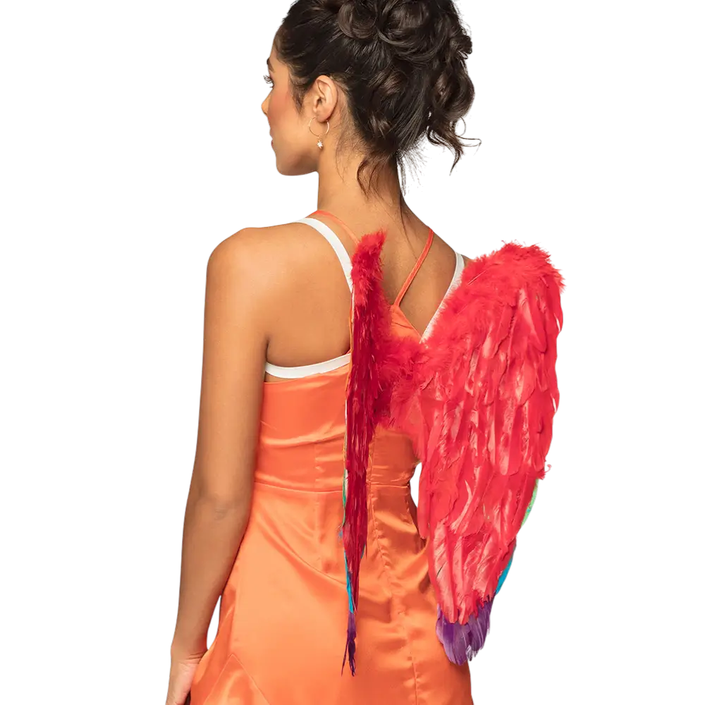 Flügel Engel Divine Regenbogen 50x50cm