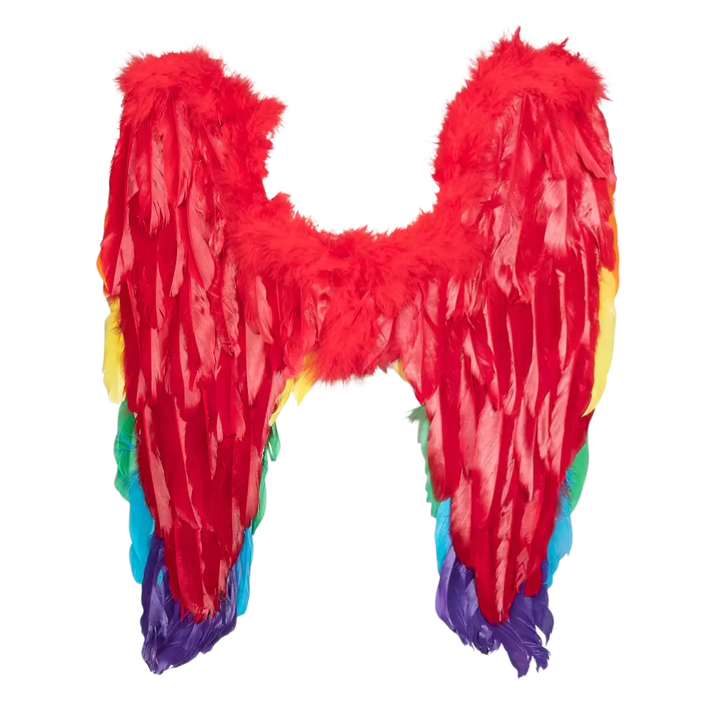 Flügel Engel Divine Regenbogen 50x50cm