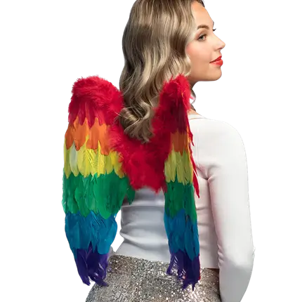 Flügel Engel Divine Regenbogen 50x50cm