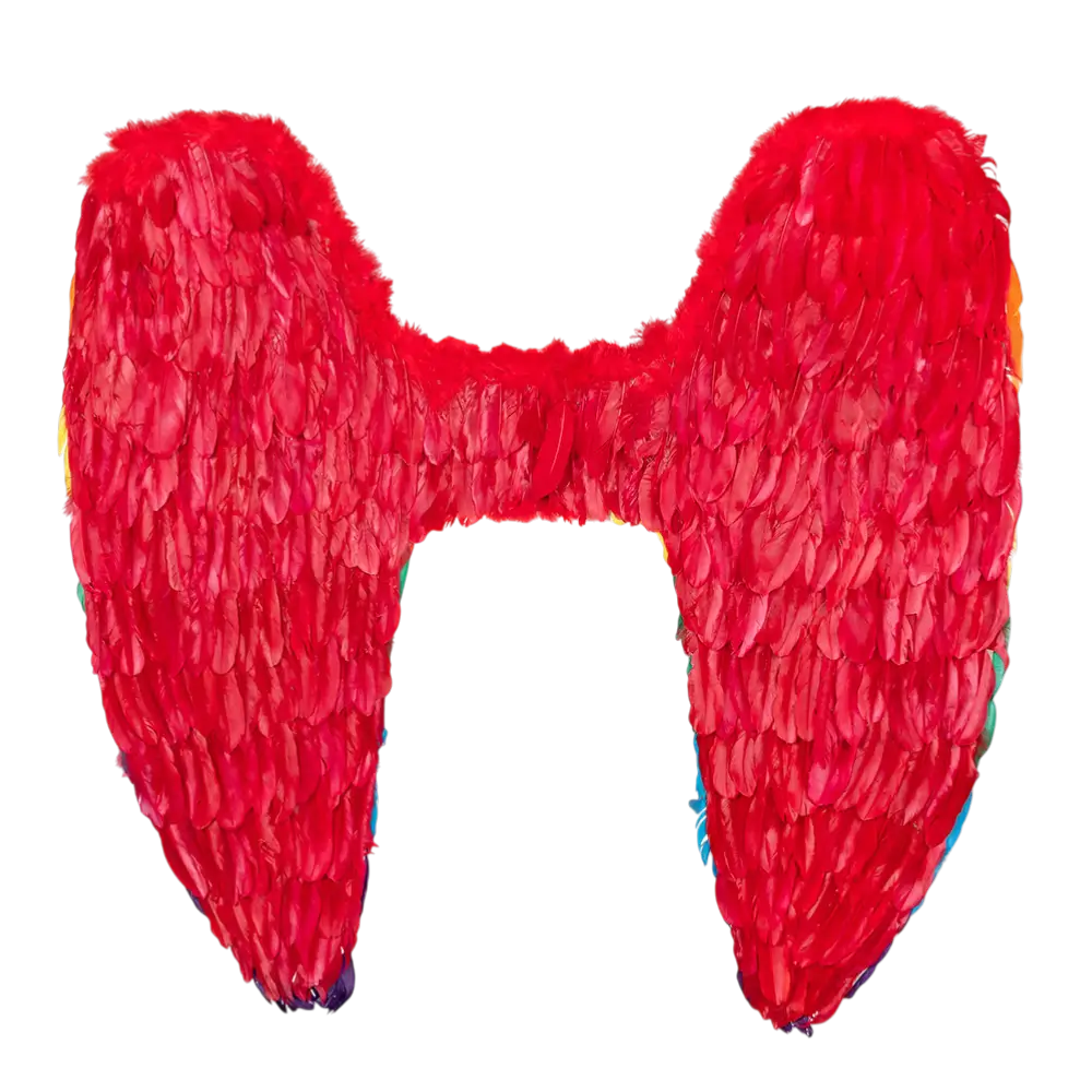 Flügel Engel Celina Regenbogen 120x120cm