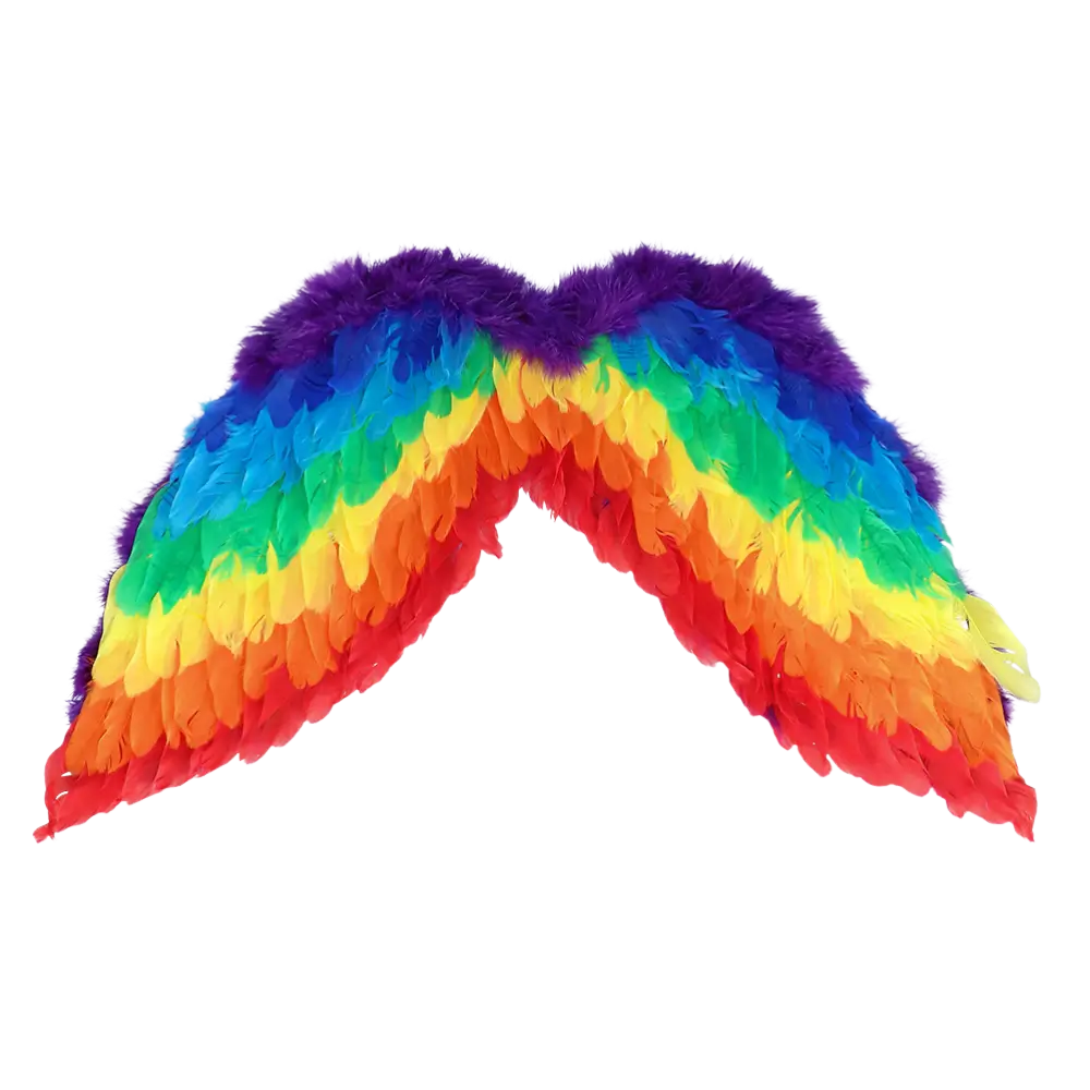 Set Regenbogenengel