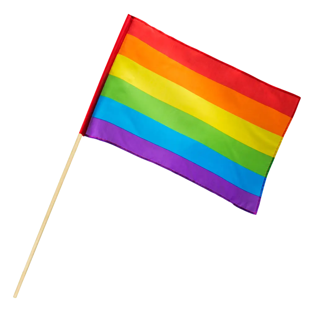Handgefertigte Polyesterflagge Regenbogen