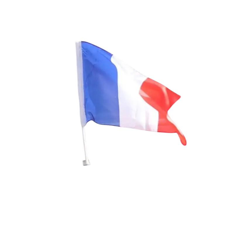 Flagge mit Fahnenstange FRANCE Polyester für Auto 45 x 30 cm