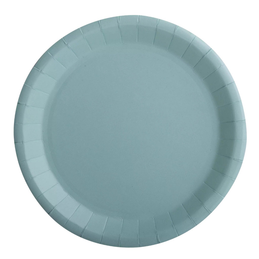 10 runde Teller aus wassergrünem Karton - 22 cm