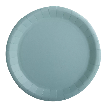 10 runde Teller aus wassergrünem Karton - 22 cm