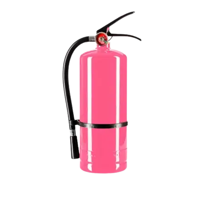 Holi Rose Pulverfeuerlöscher – 5 kg