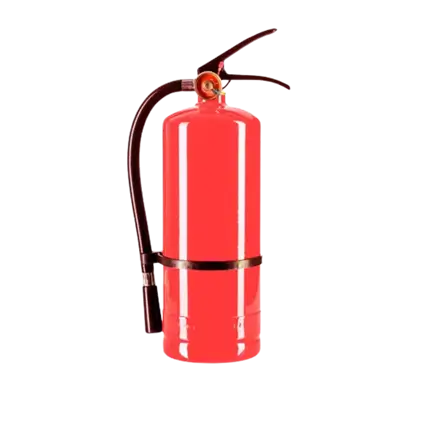 Holi-Pulverfeuerlöscher, rot – 5 kg