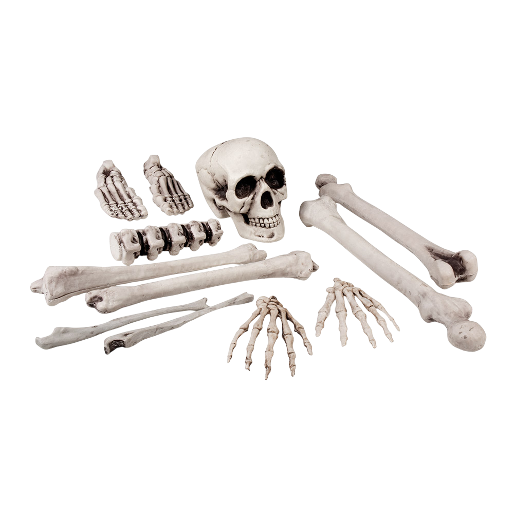 12er-Set Totenköpfe und Knochen, 23 cm – Halloween-Dekoration