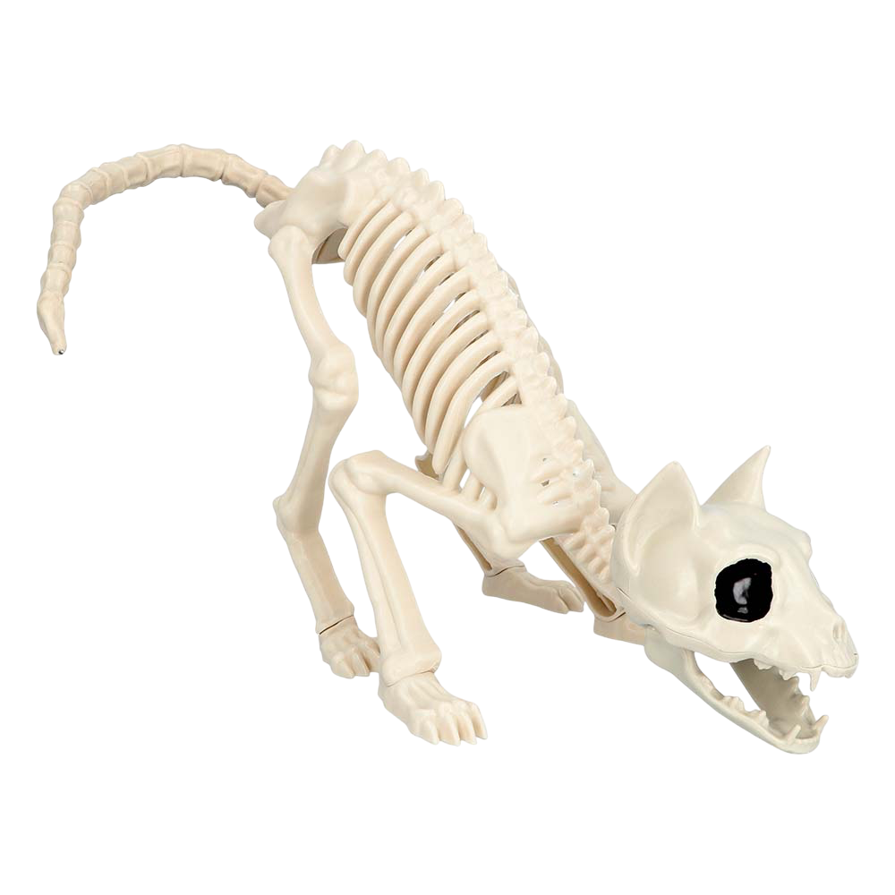 Katzen-Skelett 49 x 18 x 14 cm – Halloween-Dekoration