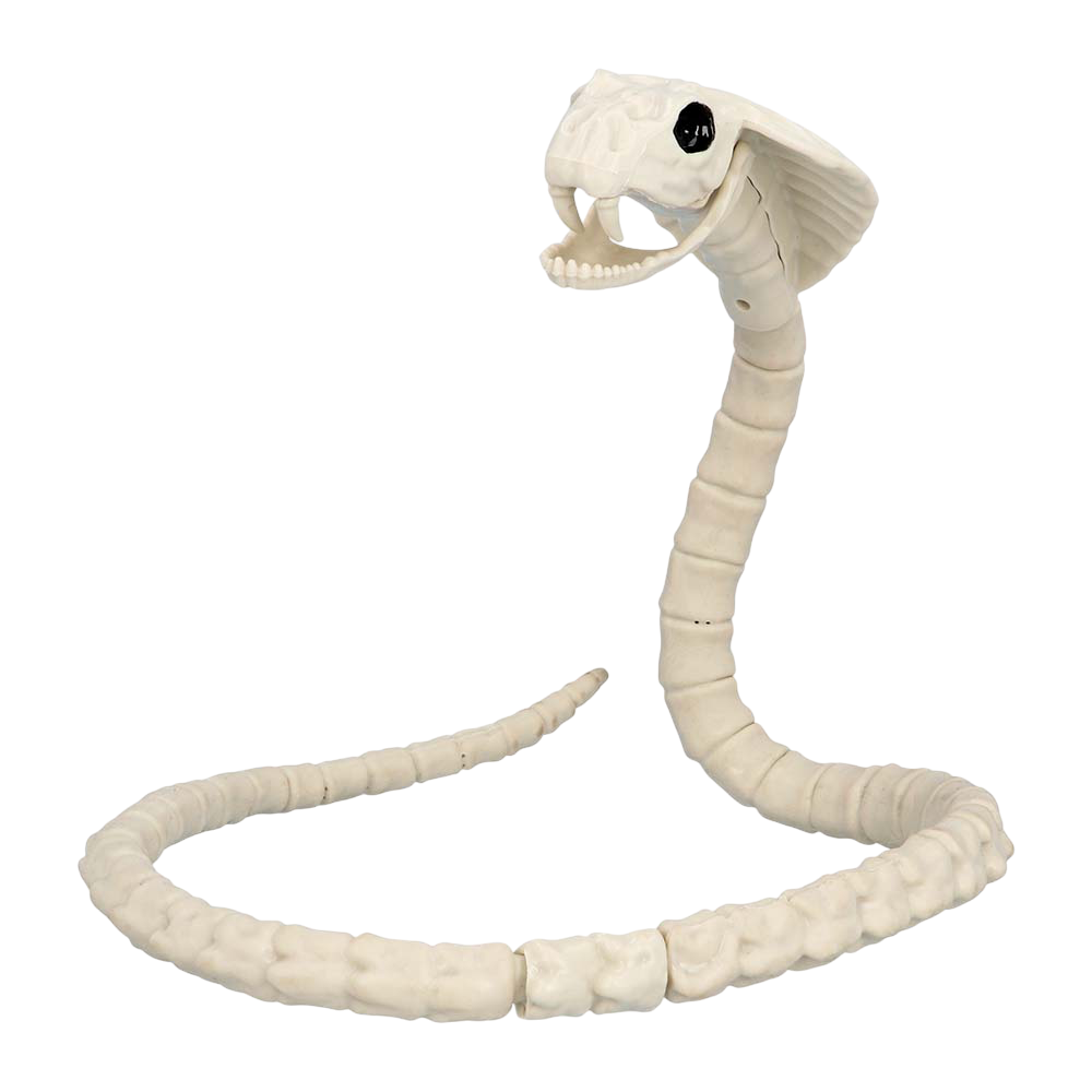 Schlangenskelett 102 cm – Halloween-Dekoration
