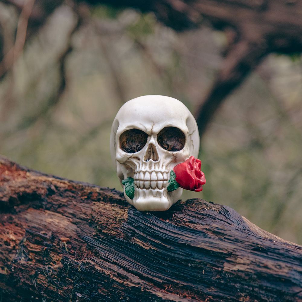 Totenkopf mit Blume 10 x 10,5 x 13 cm – Halloween-Dekoration