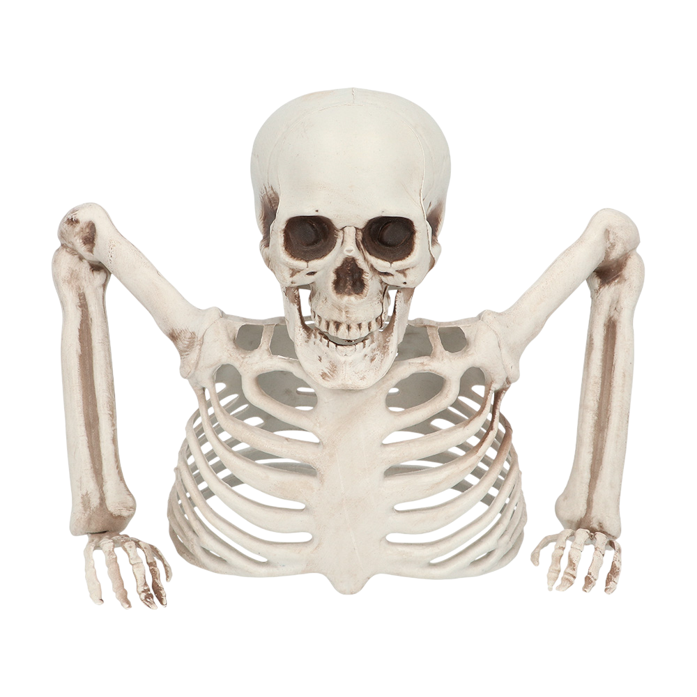 Skelett, das aus dem Boden ragt, 20 cm – Halloween-Dekoration