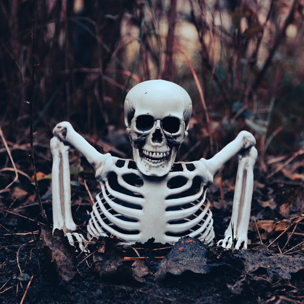 Skelett, das aus dem Boden ragt, 20 cm – Halloween-Dekoration